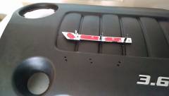 2 Emblem with 3M tape  and holes drilled